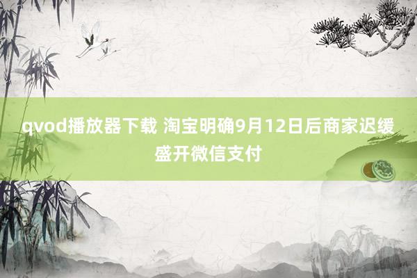 qvod播放器下载 淘宝明确9月12日后商家迟缓盛开微信支付