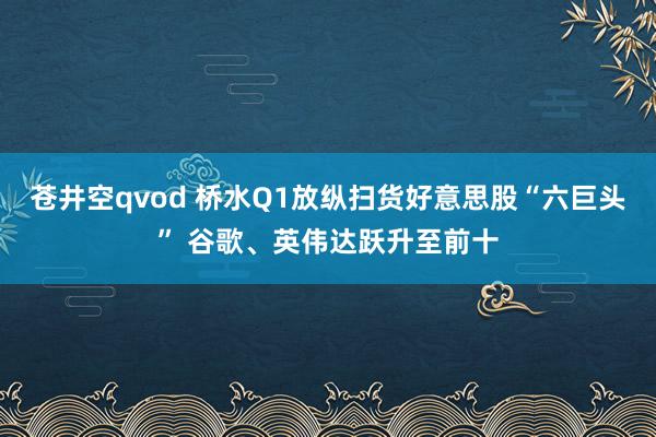 苍井空qvod 桥水Q1放纵扫货好意思股“六巨头” 谷歌、英伟达跃升至前十