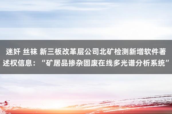 迷奸 丝袜 新三板改革层公司北矿检测新增软件著述权信息：“矿居品掺杂固废在线多光谱分析系统”