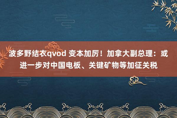 波多野结衣qvod 变本加厉！加拿大副总理：或进一步对中国电板、关键矿物等加征关税