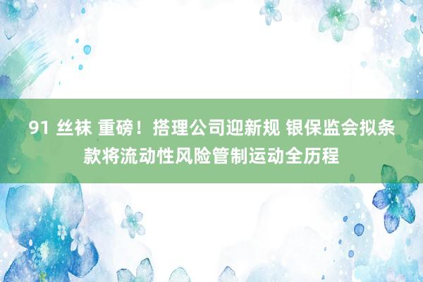 91 丝袜 重磅！搭理公司迎新规 银保监会拟条款将流动性风险管制运动全历程