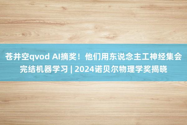 苍井空qvod AI摘奖！他们用东说念主工神经集会完结机器学习 | 2024诺贝尔物理学奖揭晓