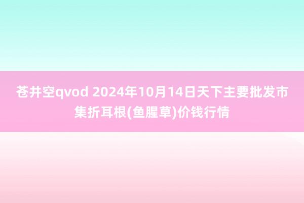 苍井空qvod 2024年10月14日天下主要批发市集折耳根(鱼腥草)价钱行情