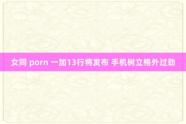 女同 porn 一加13行将发布 手机树立格外过劲