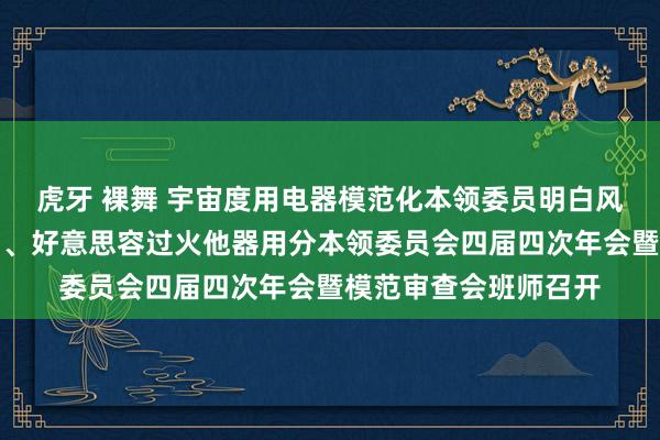 虎牙 裸舞 宇宙度用电器模范化本领委员明白风器用、取暖熨烫器用、好意思容过火他器用分本领委员会四届四次年会暨模范审查会班师召开