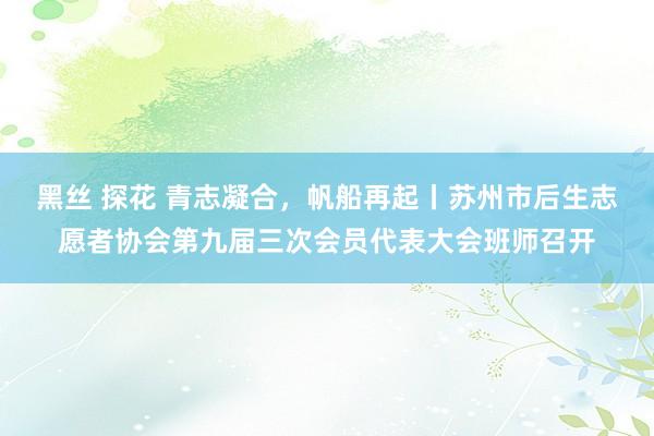黑丝 探花 青志凝合，帆船再起丨苏州市后生志愿者协会第九届三次会员代表大会班师召开