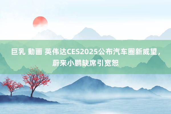 巨乳 動画 英伟达CES2025公布汽车圈新威望，蔚来小鹏缺席引宽恕