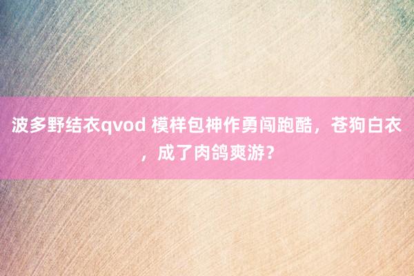 波多野结衣qvod 模样包神作勇闯跑酷，苍狗白衣，成了肉鸽爽游？