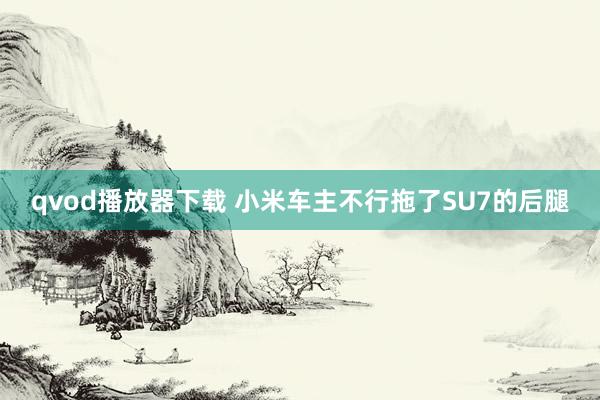 qvod播放器下载 小米车主不行拖了SU7的后腿